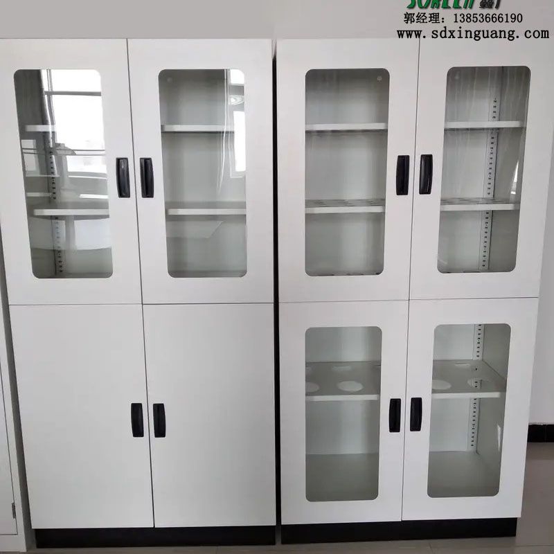 濰坊實驗室家具實驗室器皿柜存儲柜供應(yīng)