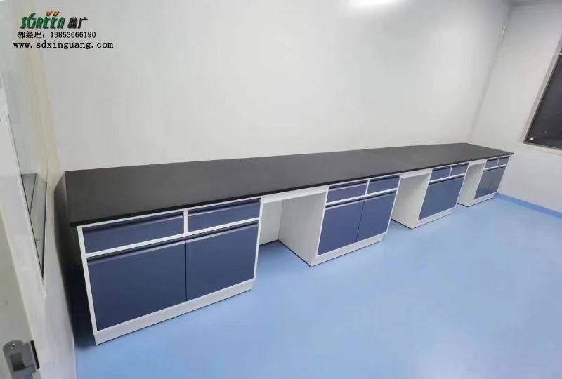 山東實(shí)驗(yàn)臺廠家實(shí)驗(yàn)室工作臺 鋼木實(shí)驗(yàn)臺 化驗(yàn)室桌子